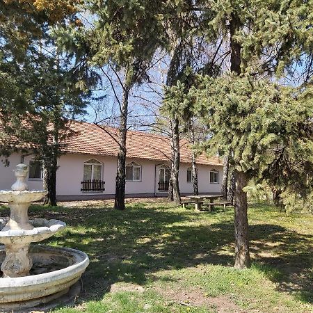 Hostel Adica Prenociste Sport Wellness Centar - Bazeni Ada Exteriér fotografie